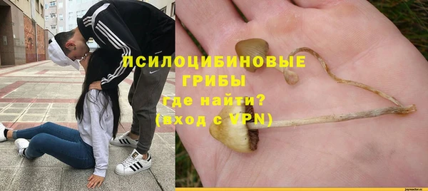 синтетический гашиш Белокуриха