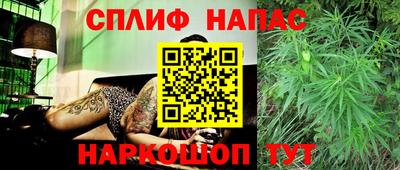 PSILOCYBIN Гатчина