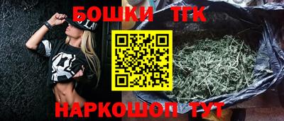 индика Бийск