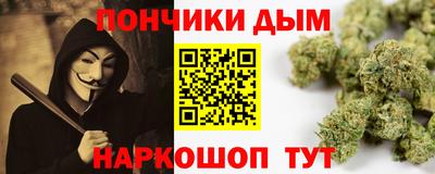 PSILOCYBIN Гатчина