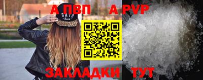 PSILOCYBIN Гатчина