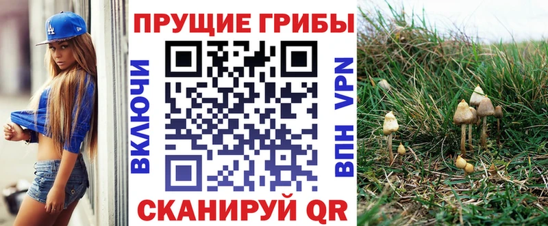 Галлюциногенные грибы мицелий  Горно-Алтайск 