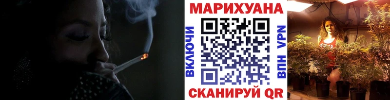 OMG ссылка  купить наркотики цена  Горно-Алтайск  Канабис сатива 